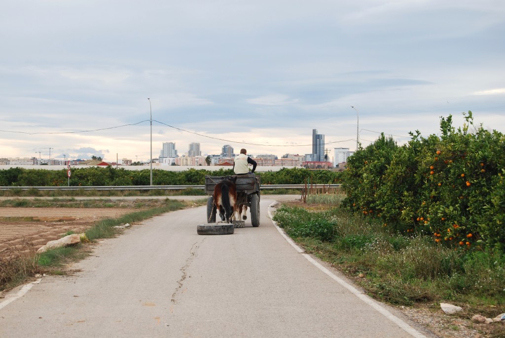 Entrada sin título 664